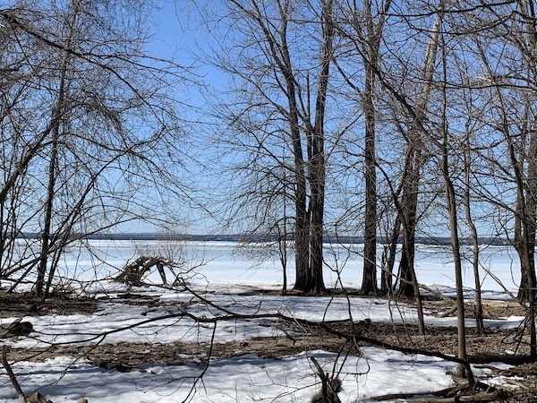 Vue sur le Lac Saint Louis du refuge faunique LM Le Québec