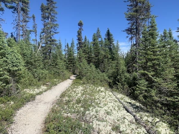 Sentier La Boreale LM Le Québec