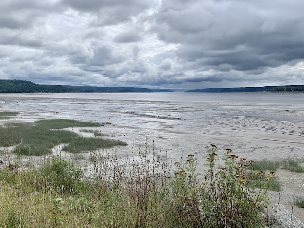 Baie du Fjord LM Le Québec